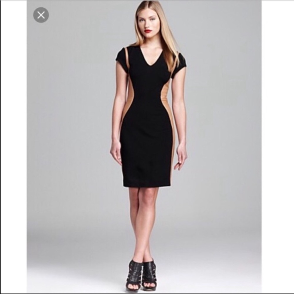 Diane Von Furstenberg Dayton Leather Fitted Dress